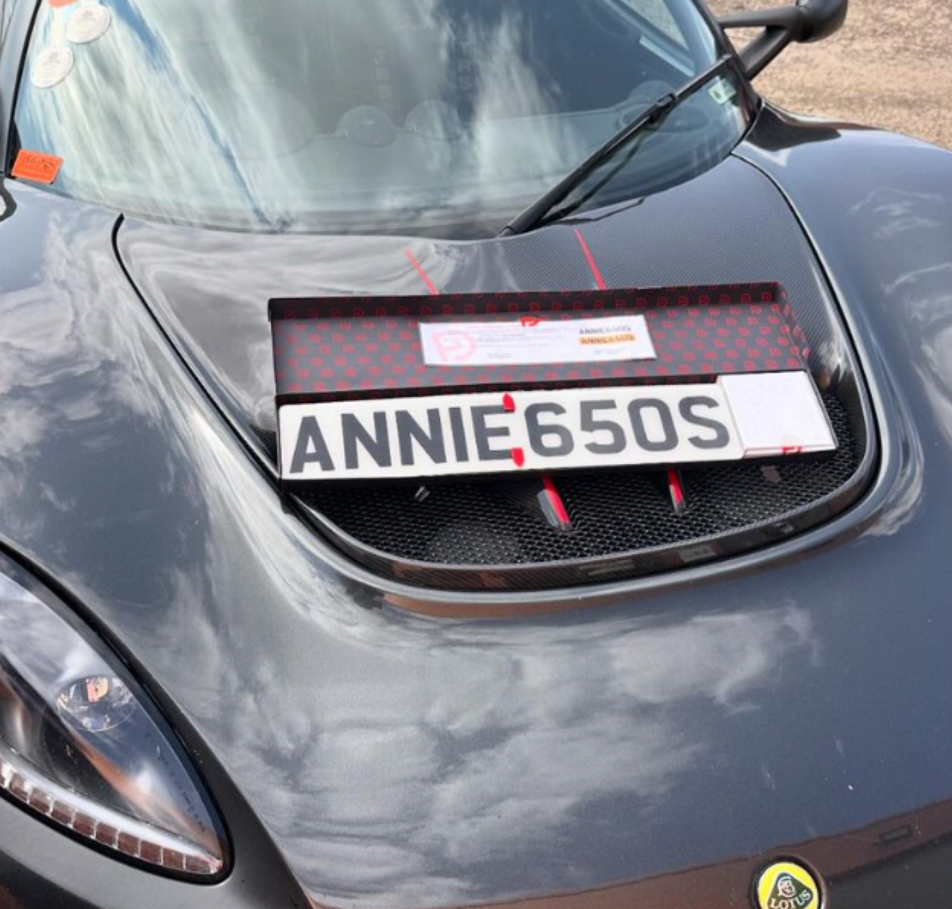 Lotus Plates Close-Up